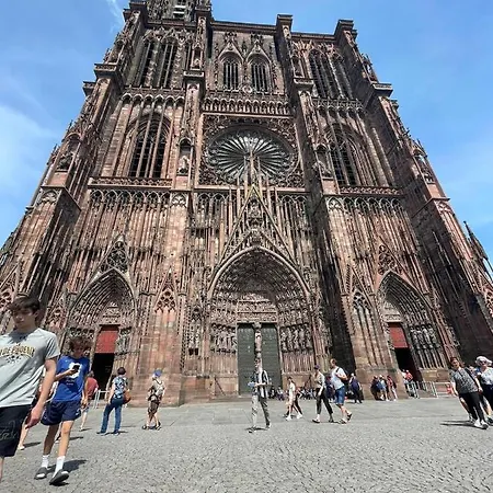 Apartment Chaleureux Orangerie