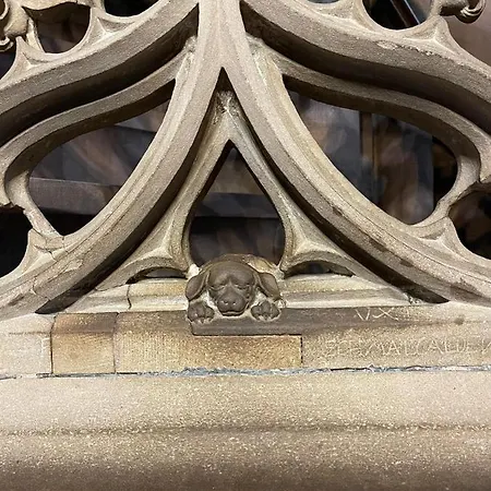 Chaleureux Orangerie Apartmán